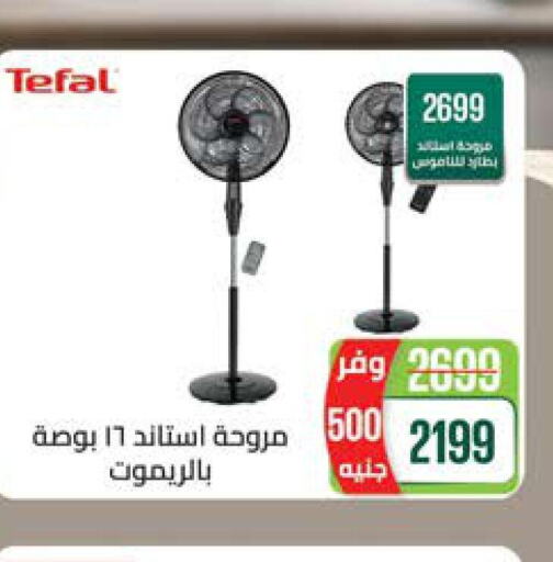 TEFAL Fan  in Seoudi Supermarket in Egypt - Cairo