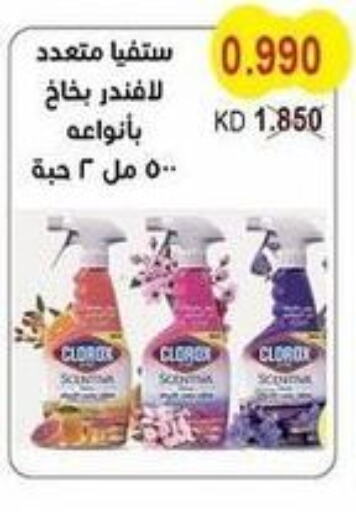CLOROX General Cleaner  in Salwa Co-Operative Society  in Kuwait - Kuwait City