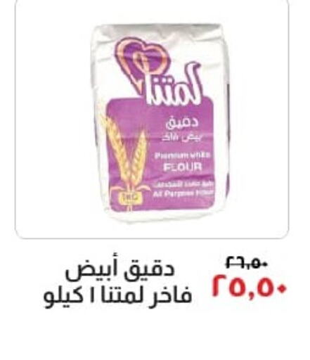  All Purpose Flour  in Kheir Zaman  in Egypt - Cairo