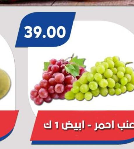  Grapes  in باسم ماركت in Egypt - القاهرة