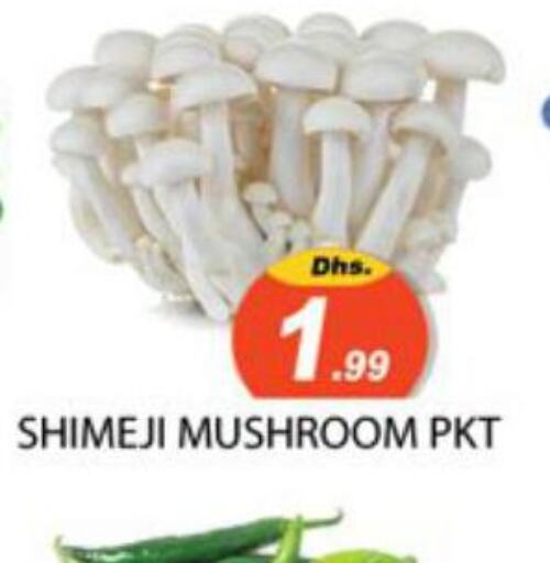  Mushroom  in زين مارت سوبرماركت in الإمارات العربية المتحدة , الامارات - رَأْس ٱلْخَيْمَة
