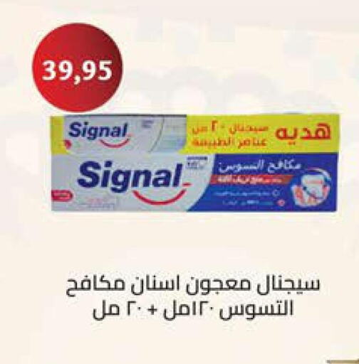 SIGNAL Toothpaste  in Seoudi Supermarket in Egypt - Cairo