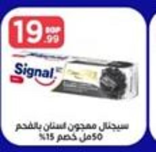 SIGNAL Toothpaste  in المحلاوي ستورز in Egypt - القاهرة