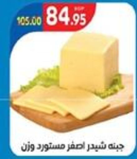  Cheddar Cheese  in Zaher Dairy in Egypt - Cairo