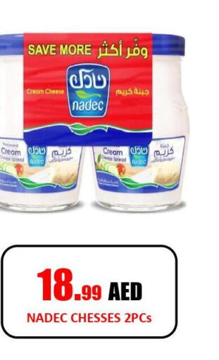 NADEC Cream Cheese  in جفت داي هايبرماركت in الإمارات العربية المتحدة , الامارات - الشارقة / عجمان
