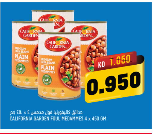 CALIFORNIA GARDEN Fava Beans  in Oncost in Kuwait - Ahmadi Governorate