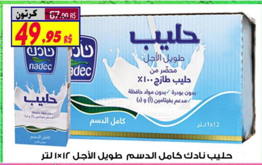 NADEC Milk Powder  in Saudi Market Co. in KSA, Saudi Arabia, Saudi - Al Hasa
