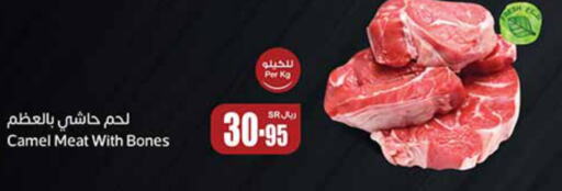 Camel meat  in أسواق عبد الله العثيم in مملكة العربية السعودية, السعودية, سعودية - تبوك