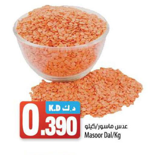 CLIKON   in Mango Hypermarket  in Kuwait - Jahra Governorate