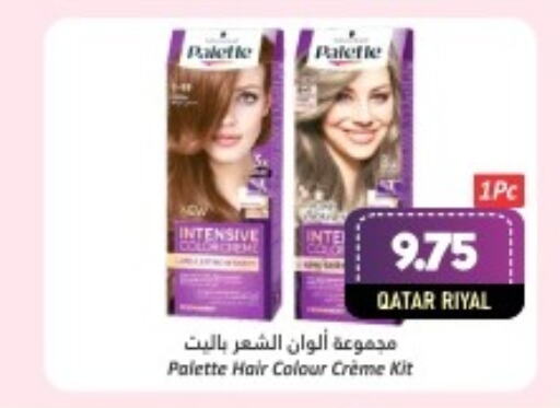 PALETTE Hair Colour  in Dana Hypermarket in Qatar - Al-Shahaniya