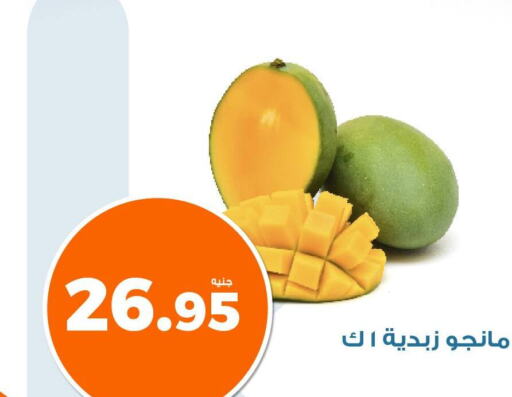  Mangoes  in كازيون in Egypt - القاهرة