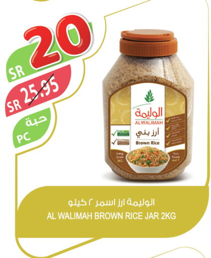  Brown Rice  in Farm  in KSA, Saudi Arabia, Saudi - Yanbu
