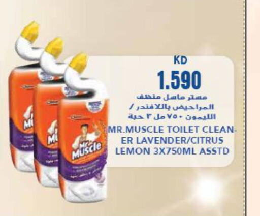 MR. MUSCLE Toilet / Drain Cleaner  in جراند هايبر in الكويت - محافظة الجهراء