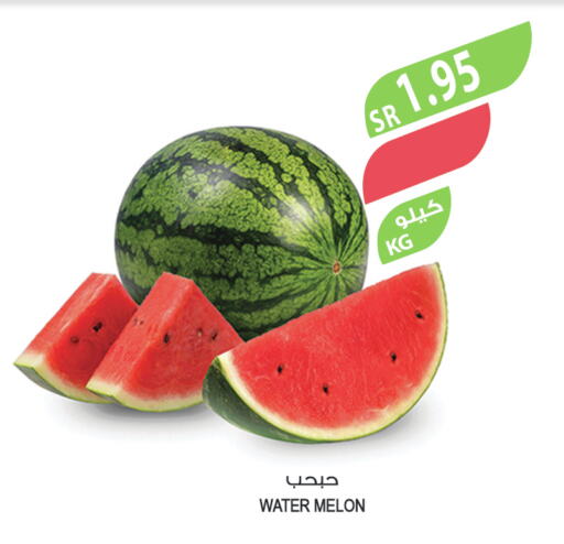  Watermelon  in المزرعة in مملكة العربية السعودية, السعودية, سعودية - الباحة