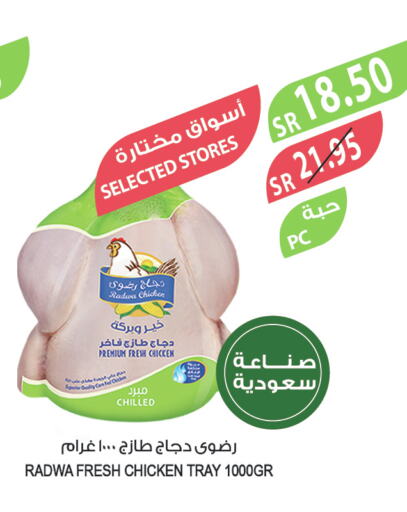  Fresh Chicken  in Farm  in KSA, Saudi Arabia, Saudi - Yanbu
