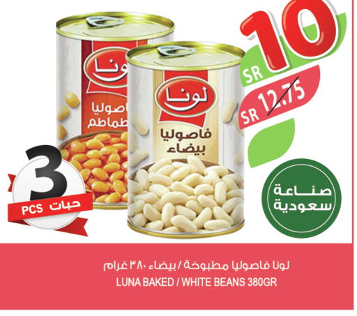 LUNA Baked Beans  in Farm  in KSA, Saudi Arabia, Saudi - Khafji