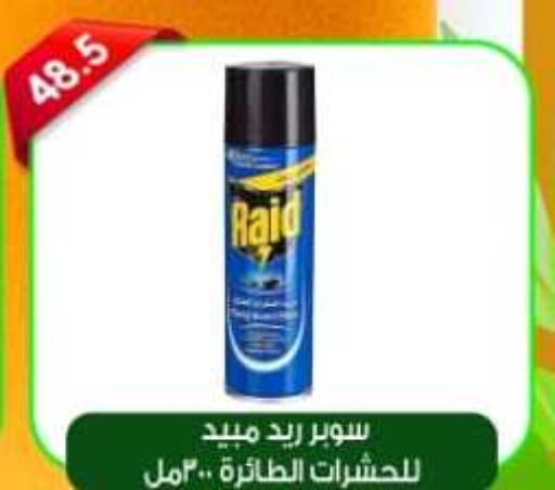 RAID   in Green Hypermarket in Egypt - Cairo