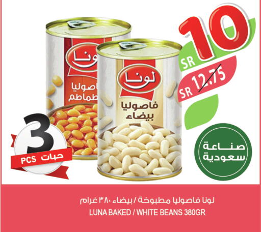 LUNA Baked Beans  in Farm  in KSA, Saudi Arabia, Saudi - Al Bahah