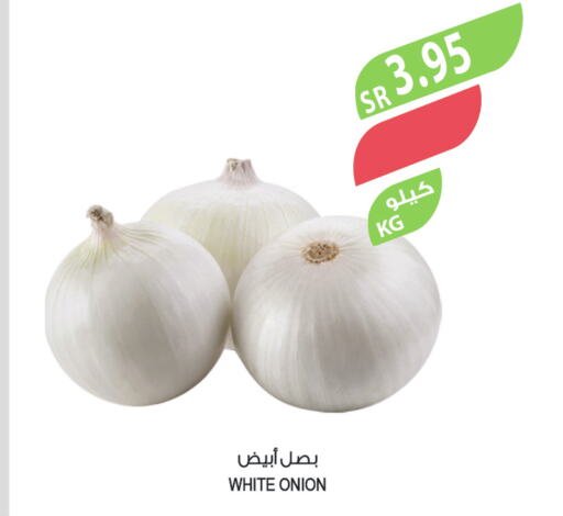  White Onion  in Farm  in KSA, Saudi Arabia, Saudi - Al Bahah