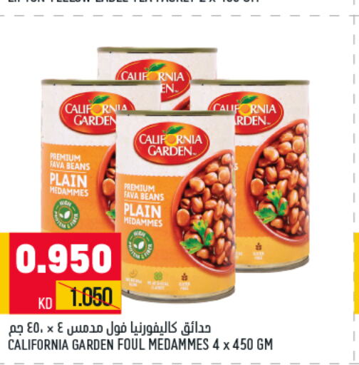 CALIFORNIA GARDEN Fava Beans  in أونكوست in الكويت - مدينة الكويت