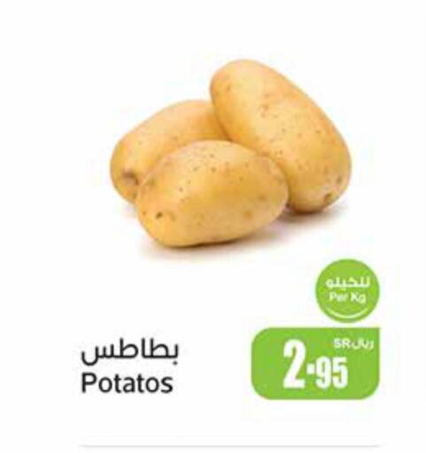  Potato  in أسواق عبد الله العثيم in مملكة العربية السعودية, السعودية, سعودية - عنيزة