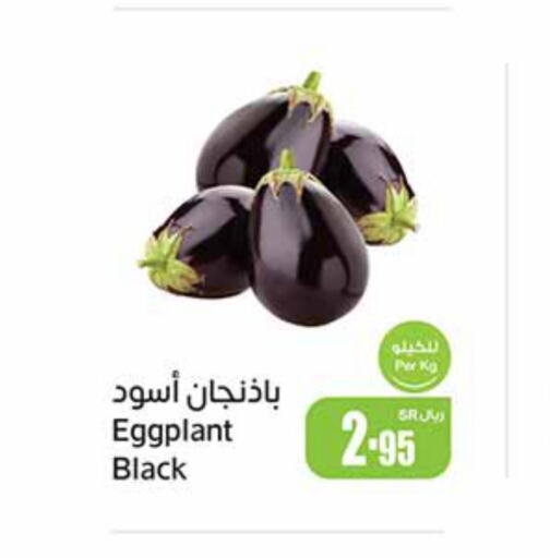  Potato  in أسواق عبد الله العثيم in مملكة العربية السعودية, السعودية, سعودية - الخفجي