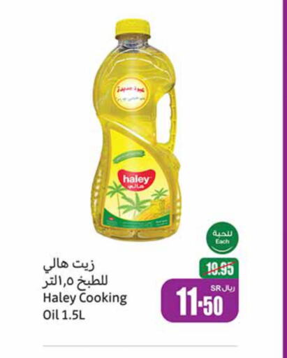 HALEY Cooking Oil  in Othaim Markets in KSA, Saudi Arabia, Saudi - Abha