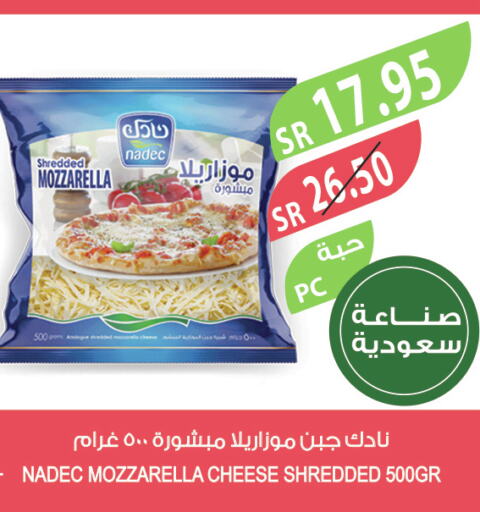 NADEC Mozzarella  in Farm  in KSA, Saudi Arabia, Saudi - Saihat