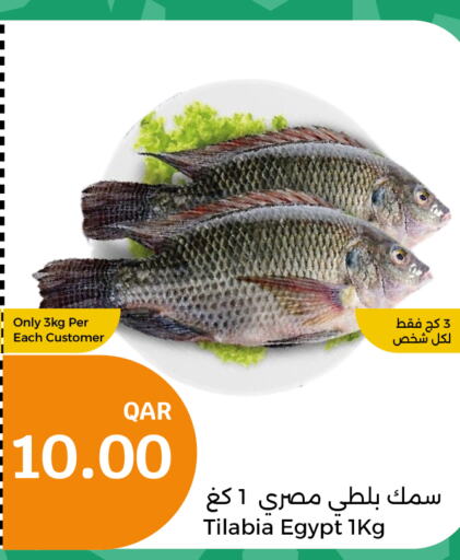  King Fish  in City Hypermarket in Qatar - Al Wakra