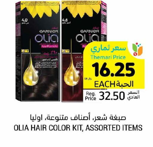 GARNIER Hair Colour  in Tamimi Market in KSA, Saudi Arabia, Saudi - Al Hasa