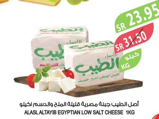  Slice Cheese  in Farm  in KSA, Saudi Arabia, Saudi - Dammam