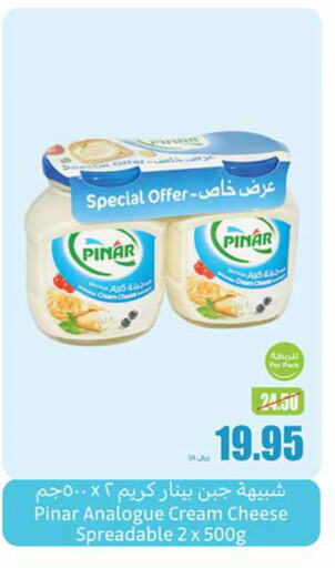 PINAR Analogue Cream  in Othaim Markets in KSA, Saudi Arabia, Saudi - Buraidah