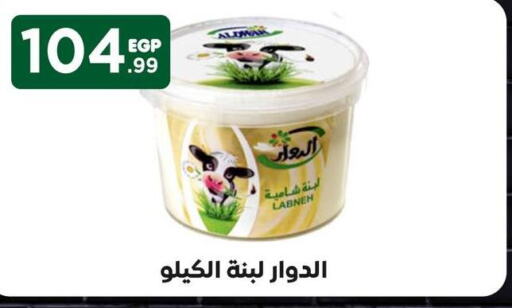 Labneh  in El Mahlawy Stores in Egypt - Cairo