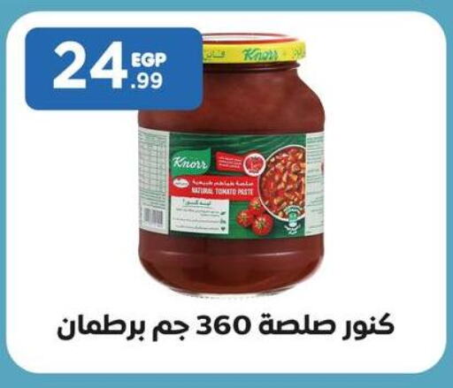 KNORR Tomato Paste  in El Mahlawy Stores in Egypt - Cairo