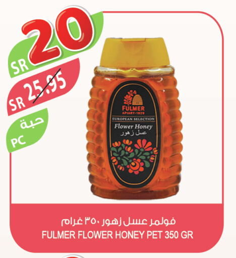  Honey  in المزرعة in مملكة العربية السعودية, السعودية, سعودية - تبوك