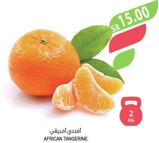  Orange  in Farm  in KSA, Saudi Arabia, Saudi - Khafji