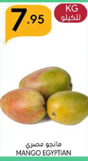  Mangoes  in مانويل ماركت in مملكة العربية السعودية, السعودية, سعودية - جدة
