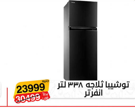 TOSHIBA Refrigerator  in بيت الجملة in Egypt - القاهرة