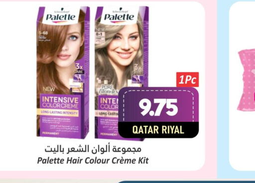 PALETTE Hair Colour  in دانة هايبرماركت in قطر - الدوحة