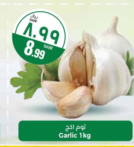  Garlic  in ستي فلاور in مملكة العربية السعودية, السعودية, سعودية - الجبيل‎