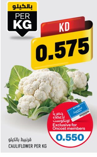  Cauliflower  in أونكوست in الكويت - محافظة الأحمدي