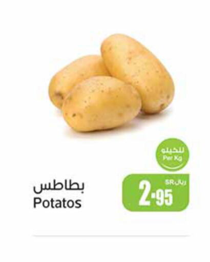  Potato  in Othaim Markets in KSA, Saudi Arabia, Saudi - Rafha