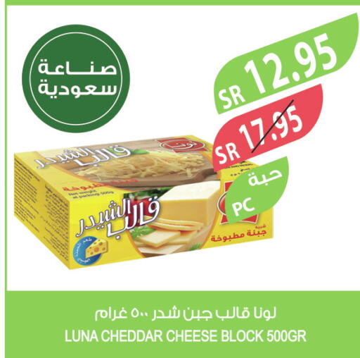 LUNA Cheddar Cheese  in Farm  in KSA, Saudi Arabia, Saudi - Saihat