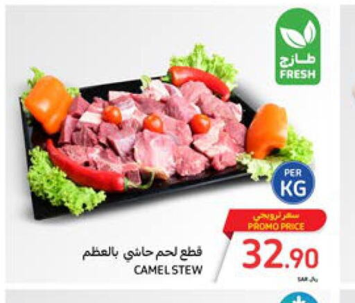  Camel meat  in كارفور in مملكة العربية السعودية, السعودية, سعودية - سكاكا