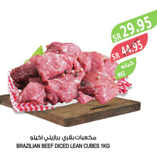  Beef  in Farm  in KSA, Saudi Arabia, Saudi - Dammam