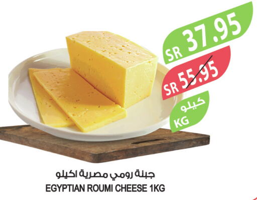  Roumy Cheese  in Farm  in KSA, Saudi Arabia, Saudi - Dammam