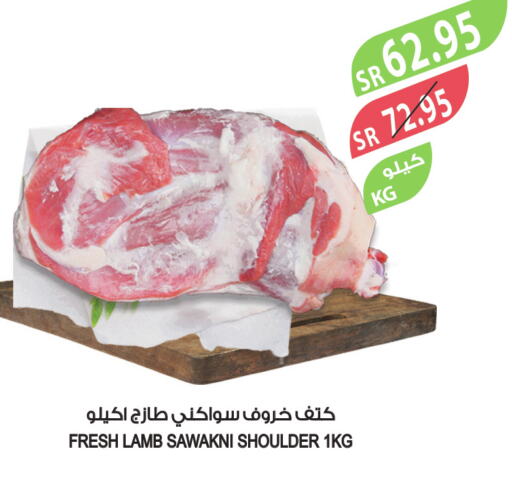  Mutton / Lamb  in المزرعة in مملكة العربية السعودية, السعودية, سعودية - ينبع