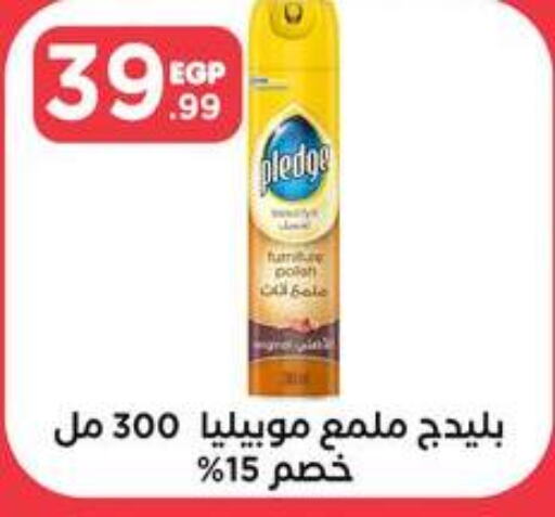 PLEDGE   in El Mahlawy Stores in Egypt - Cairo