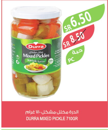 DURRA Pickle  in Farm  in KSA, Saudi Arabia, Saudi - Khafji