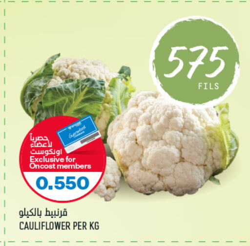  Cauliflower  in أونكوست in الكويت - محافظة الجهراء